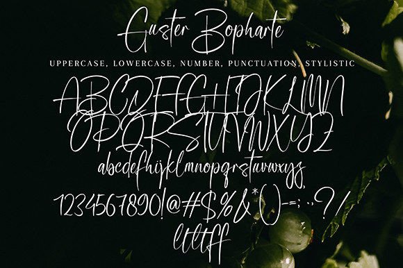 Guster Bopharte Font Poster 10