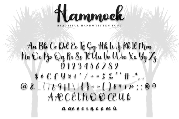 Hammock Font Poster 5