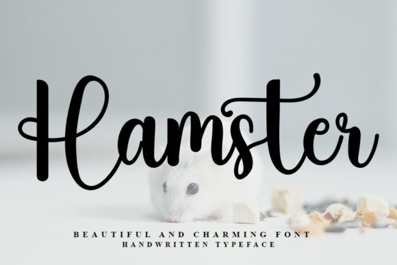Hamster Font Poster 1