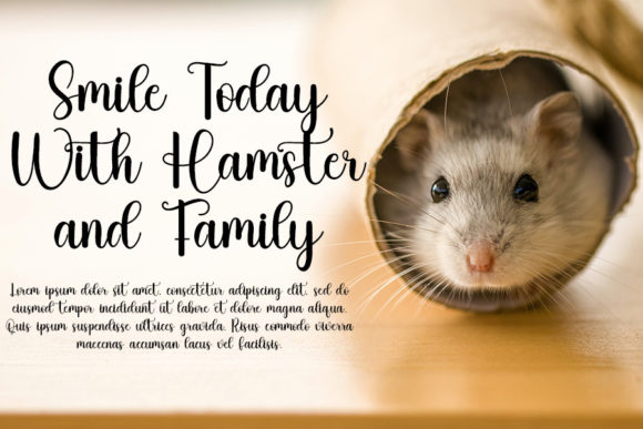 Hamster Font Poster 3