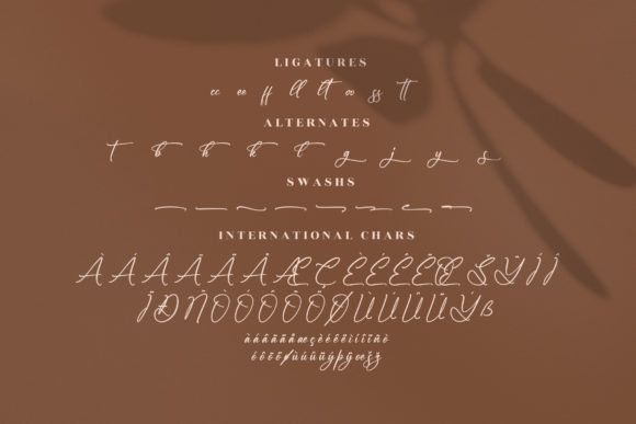 Hamstery Font Poster 14