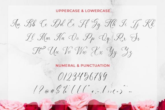 Hanaluna Font Poster 9
