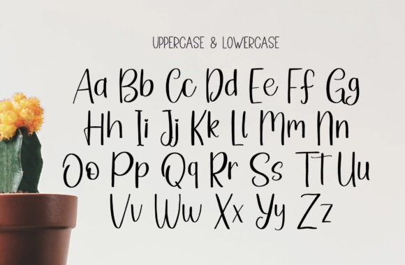 Hand Lettering Font Poster 7