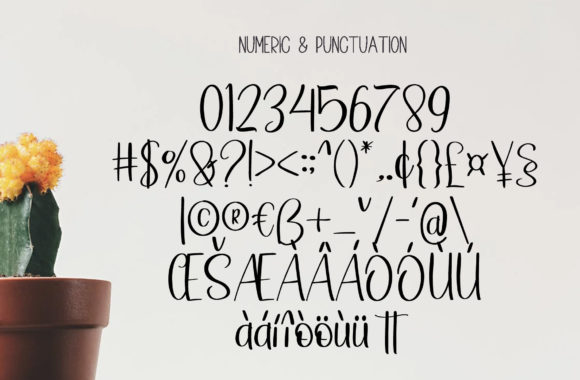 Hand Lettering Font Poster 8