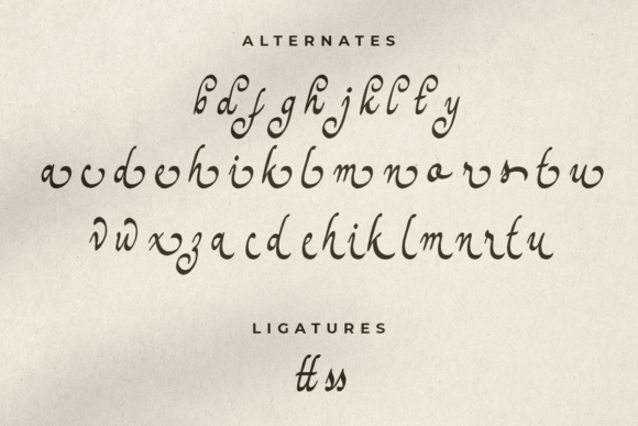 Hand Vintage Font Poster 7