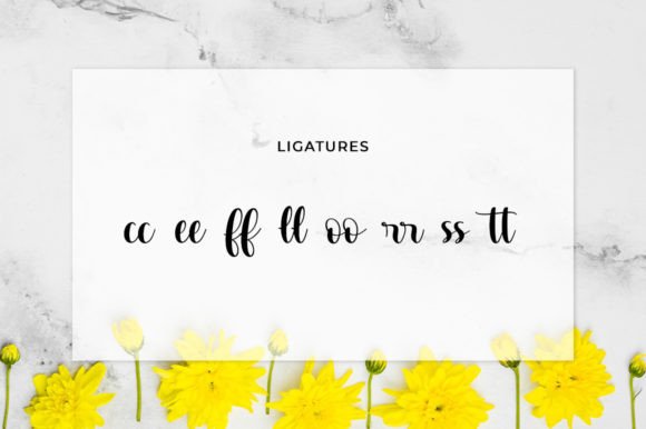 Handina Font Poster 11