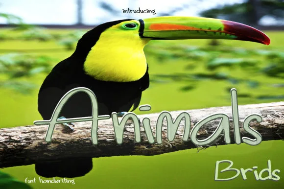 Handwriting Font Handwriting Font Poster 1