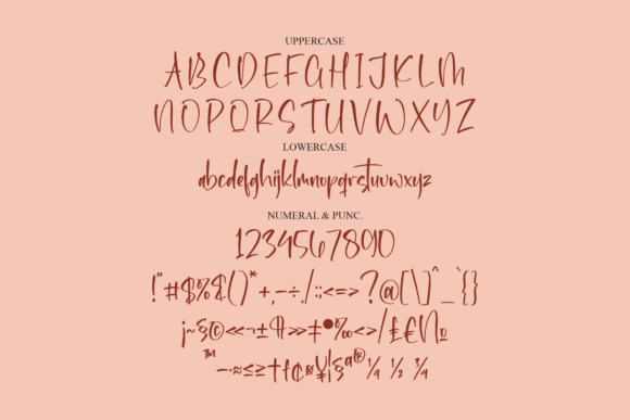 Handwritting Font Poster 13