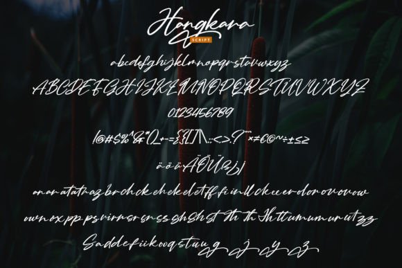 Hangkara Font Poster 5