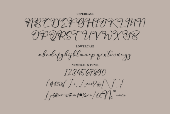 Hanykalia Font Poster 13