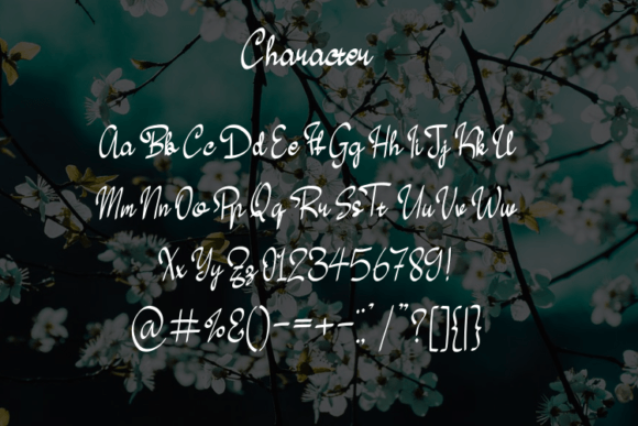 Happy Sumbo Font Poster 2