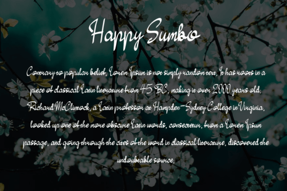 Happy Sumbo Font Poster 5