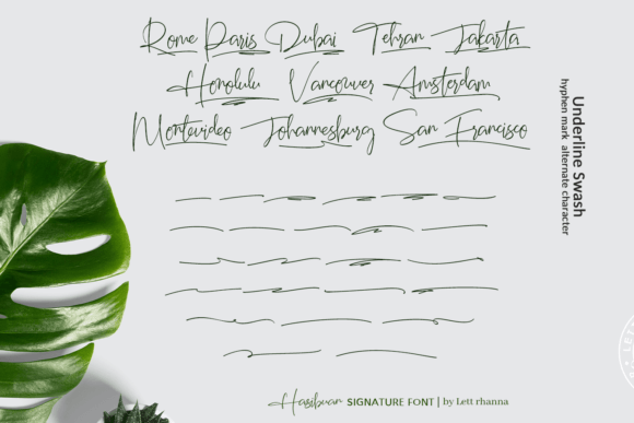 Hasibuan Font Poster 8