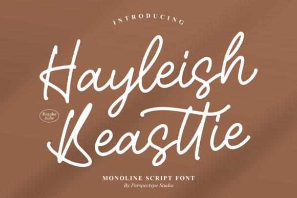 Hayleish Beasttie Font Poster 1