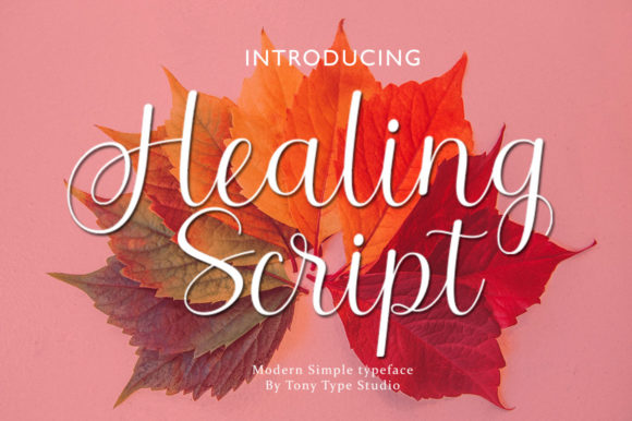 Healing Script Font Poster 1