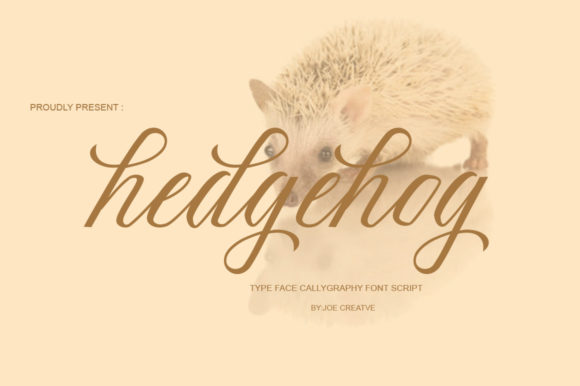 Hedgehog Font