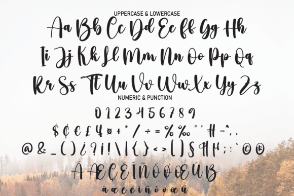 Hello Autumn Font Poster 7