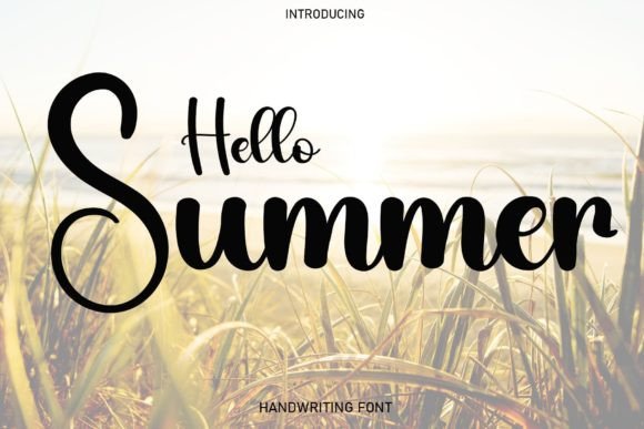 Hello Summer Font Poster 1