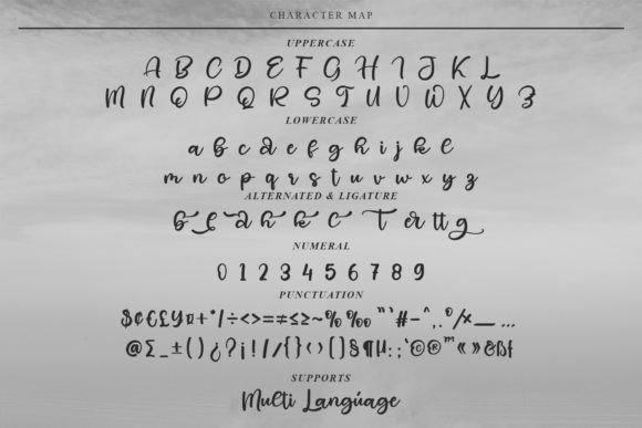 Herbal Font Poster 8