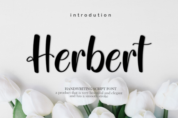 Herbert Font Poster 1