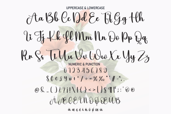 Hibis Font Poster 7