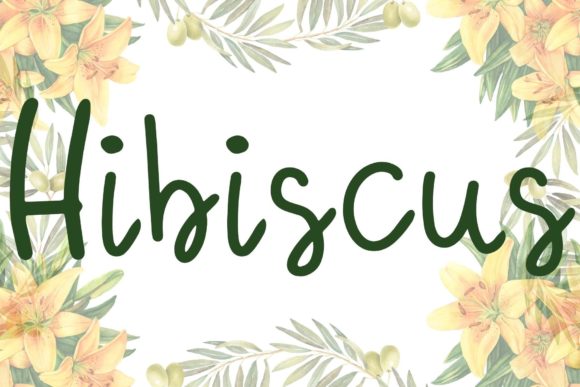 Hibiscus Font Poster 1