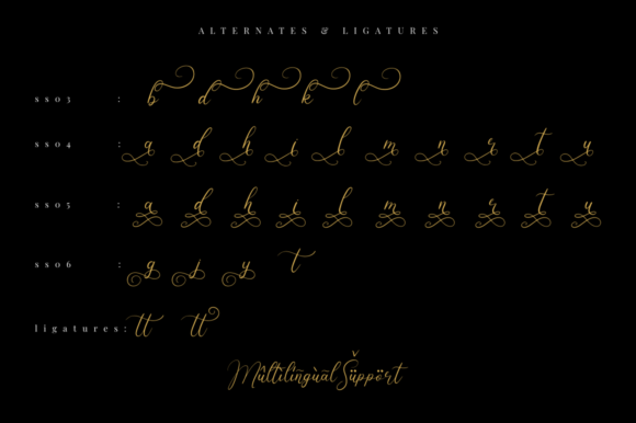 Higanbana Font Poster 10