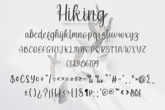 Hiking Font Poster 5