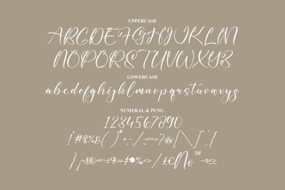 Hillarya Maliah Font Poster 13