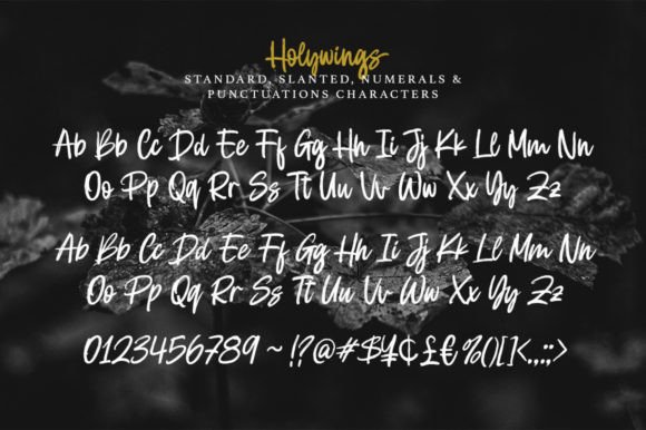 Holywings Font Poster 15