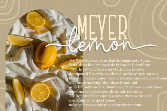 Home Lemonade Font Poster 13