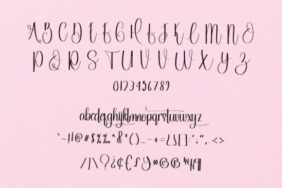 Home Story Font Poster 5