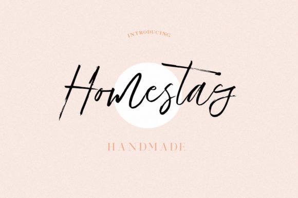 Homestay Font Poster 1