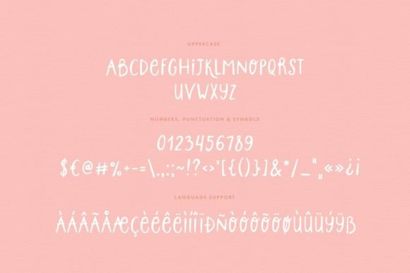 Honey Bunny Font Poster 8