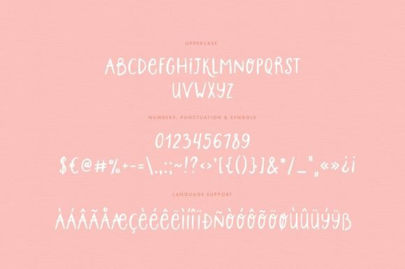 Honey Bunny Font Poster 8