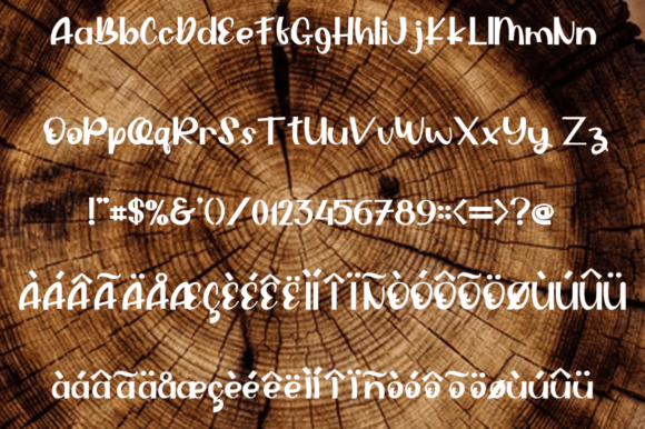Hoogan Font Poster 6