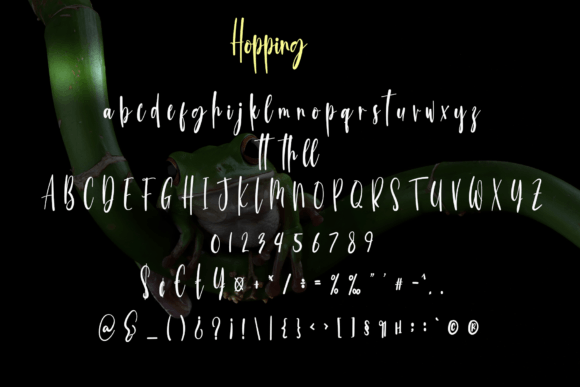 Hopping Font Poster 6