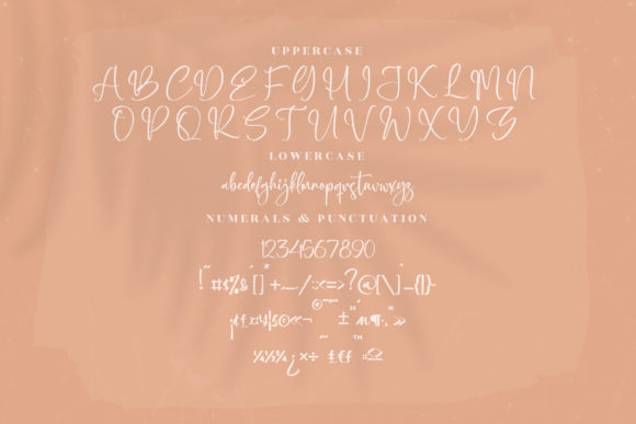 Hottela Mofaland Font Poster 13