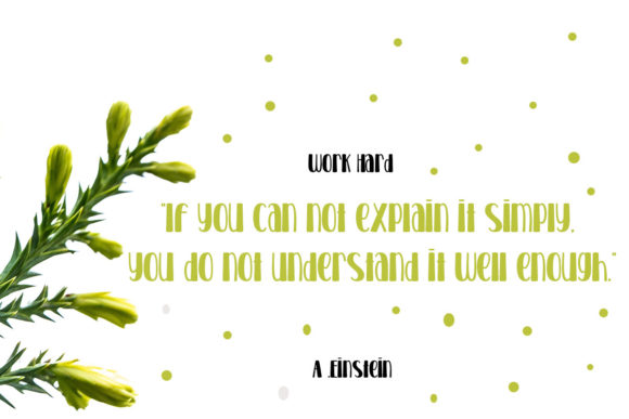 House Chick Font Poster 4