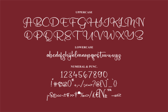 Hower Beauty Font Poster 13