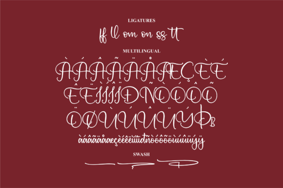 Hower Beauty Font Poster 14