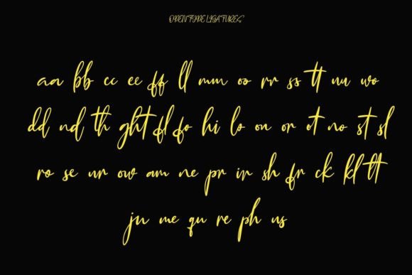 Huffington Font Poster 9