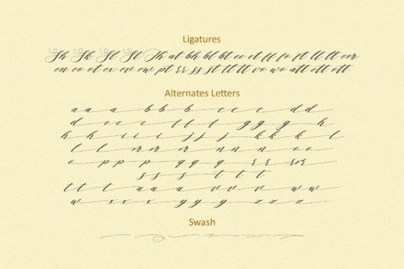 Human Diary Font Poster 10