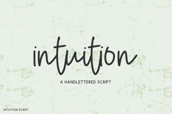 Intuition Font Poster 1
