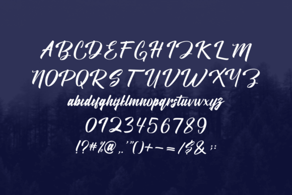 Jatanira Camteg Font Poster 5