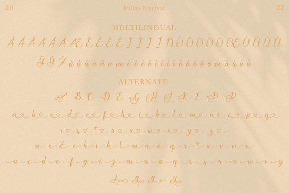 Javin Font Poster 10