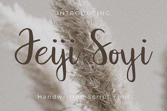 Jeiji Soyi Font