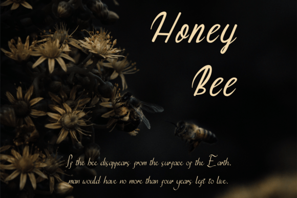 Jennie Font Poster 2