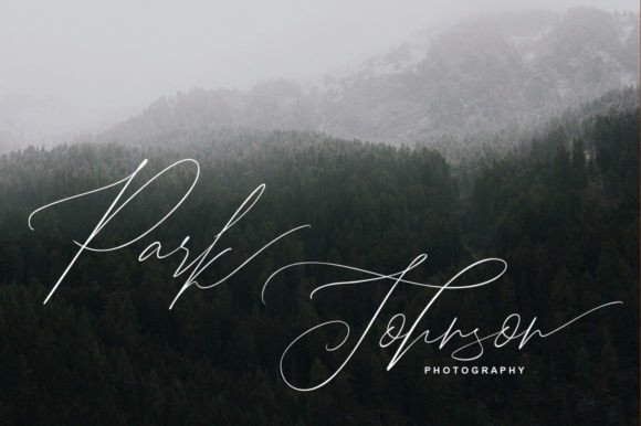 John Davidson Font Poster 8