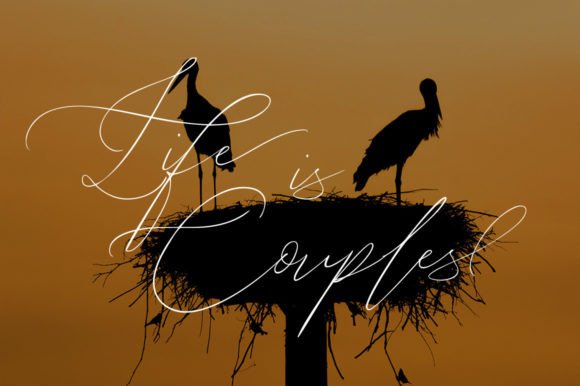 John Davidson Font Poster 9